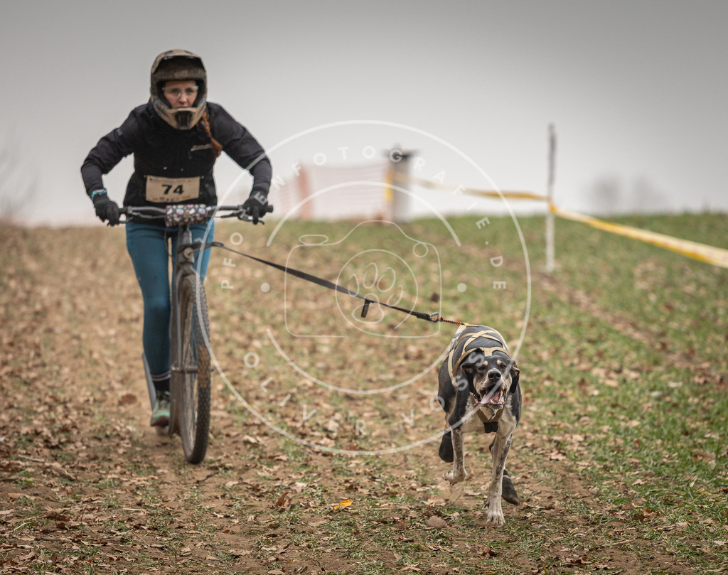 Pfotenfotografie_DV3A3658 | Hundefotografie, Tierfotograf, Pfotenfotografie, Fotoshooting Hund, Hunde Portrait, Hundesport, Hundeportraits, Heideshooting, Hunde, Sportfotograf, Hundefotograf, Turnierhundsport, THS,  - Realisiert mit Pictrs.com