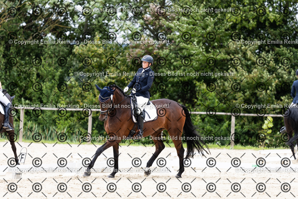 CL5A3531 | Emilia Reinking Fotografie - Realisiert mit Pictrs.com