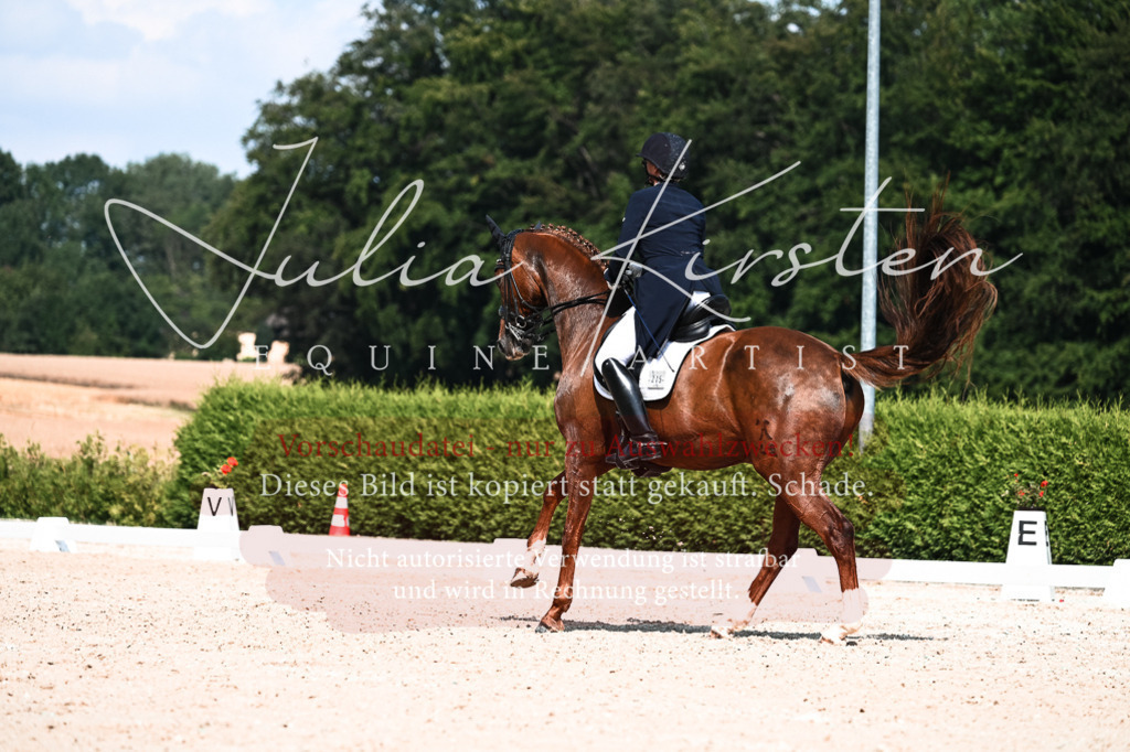 DSC_3218 | Pferde- und Turnierfotografie in Westsachsen. Pferdeportraits, Auftragszeichnungen und intuitive Kunst.