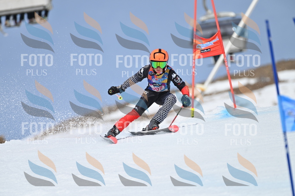 BGV_2876 | holidayphoto