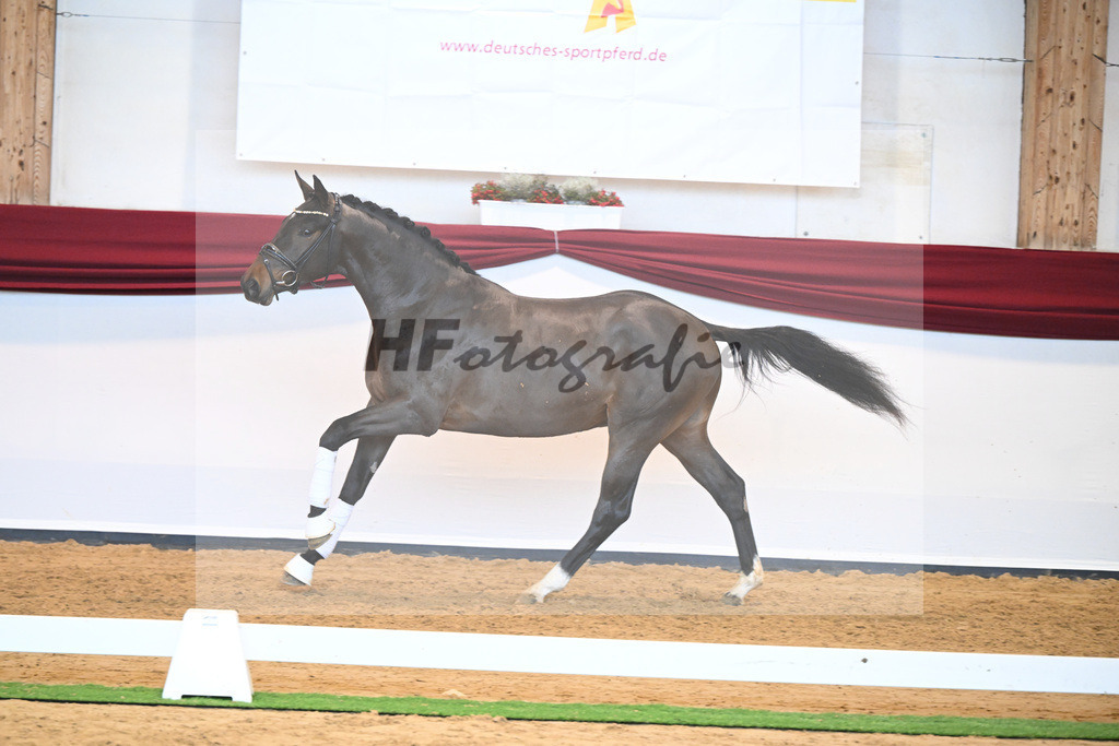 Kat-Nr. 43 v. Mykonos_Sommer_66220980 | hf-fotografie - Realisiert mit Pictrs.com