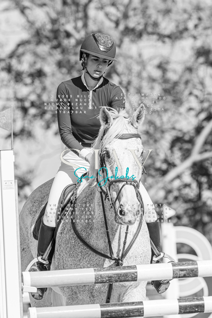 IMG_0968 | s-jay-photography - Realisiert mit Pictrs.com