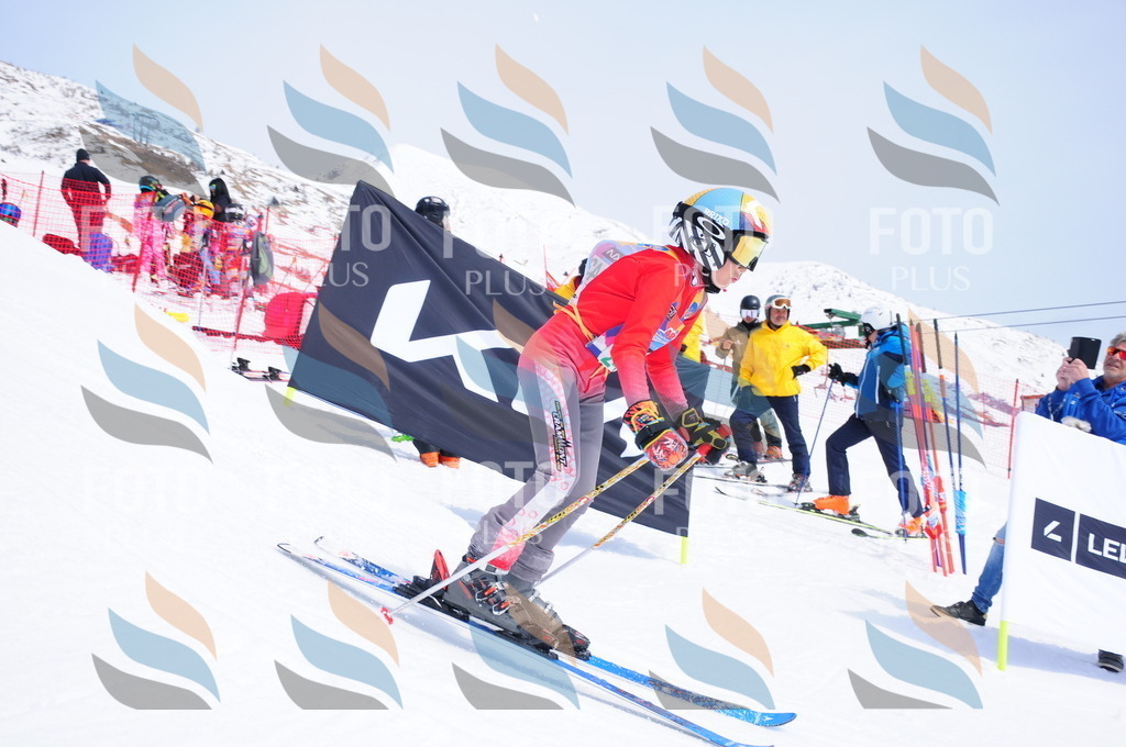 DSC_2279 | holidayphoto