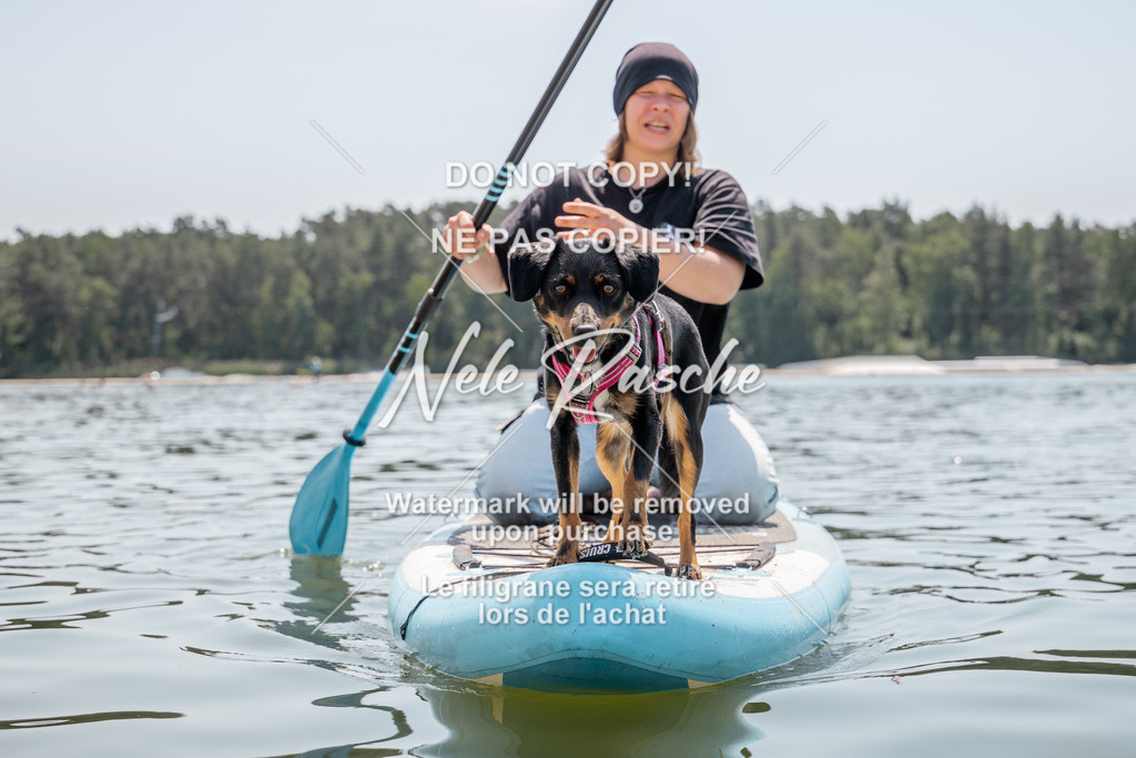 nelerasche_saSUP1_41 | nelerasche