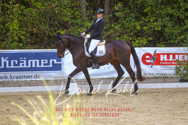 DKP41595 | Turniersportfotografie; Pferdefotografie; Dressurfotografie