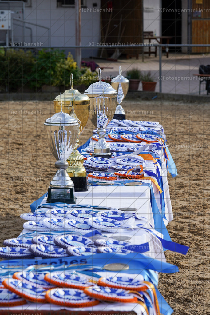 20240825-FAH00502 | Turnierbilder, Reitsportfotos, LAPO, Landesponyturnier, Turnierfotografen Bayern