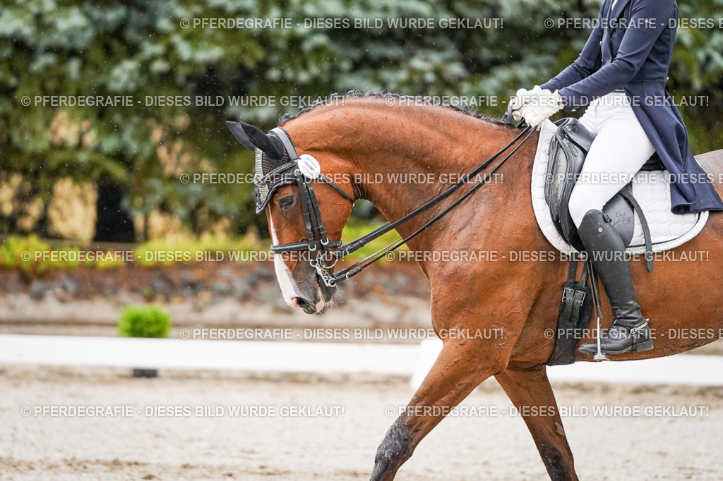 DSC08616 | Pferdegrafie