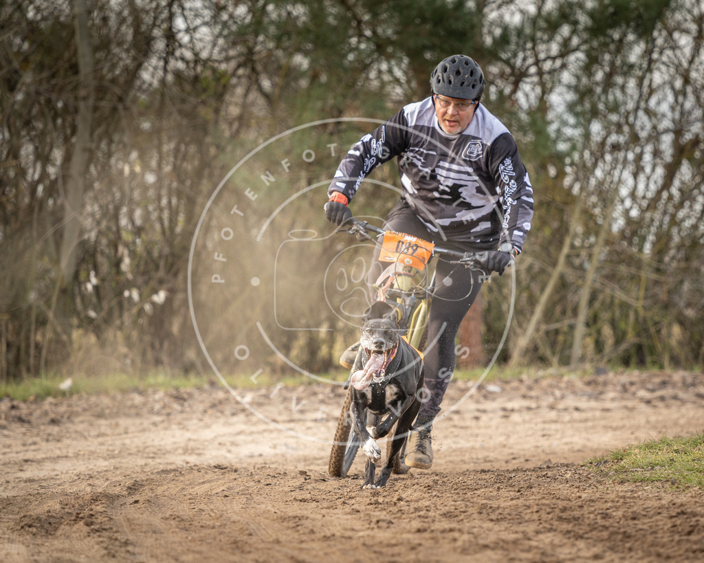 Pfotenfotografie_DV3A8159 | Hundefotografie, Tierfotograf, Pfotenfotografie, Fotoshooting Hund, Hunde Portrait, Hundesport, Hundeportraits, Heideshooting, Hunde, Sportfotograf, Hundefotograf, Turnierhundsport, THS,  - Realisiert mit Pictrs.com