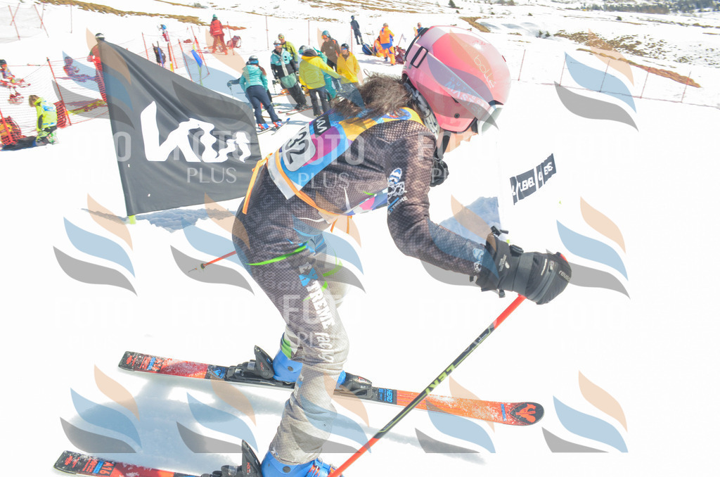 _ELE6137 | holidayphoto