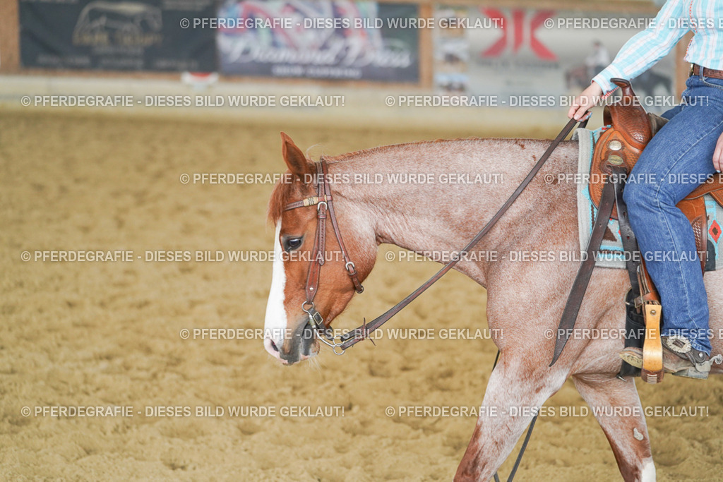 DSC05685 | Pferdegrafie