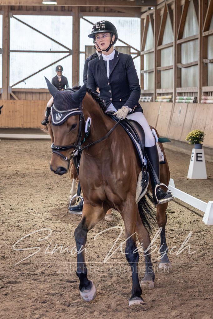 20251011-_3LI0914 | Tierfotografie Pferde, Hunde, Katzen, Haustiere.
Turnierfotografie Reitturniere, Reiten, Springreiten, Dressur in Hanau, dem Main-Kinzig-Kreis und dem Rhein-Main- Gebiet um Frankfurt