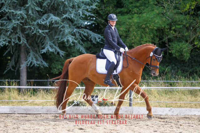 DKP46047 | Turniersportfotografie; Pferdefotografie; Dressurfotografie