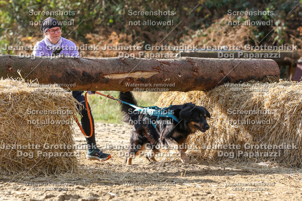 Dog Paparazzi - Strongdog 10-25-5826 | Dog Paparazzi Jeanette Grottendiek Fotografie & Videografie - Realisiert mit Pictrs.com