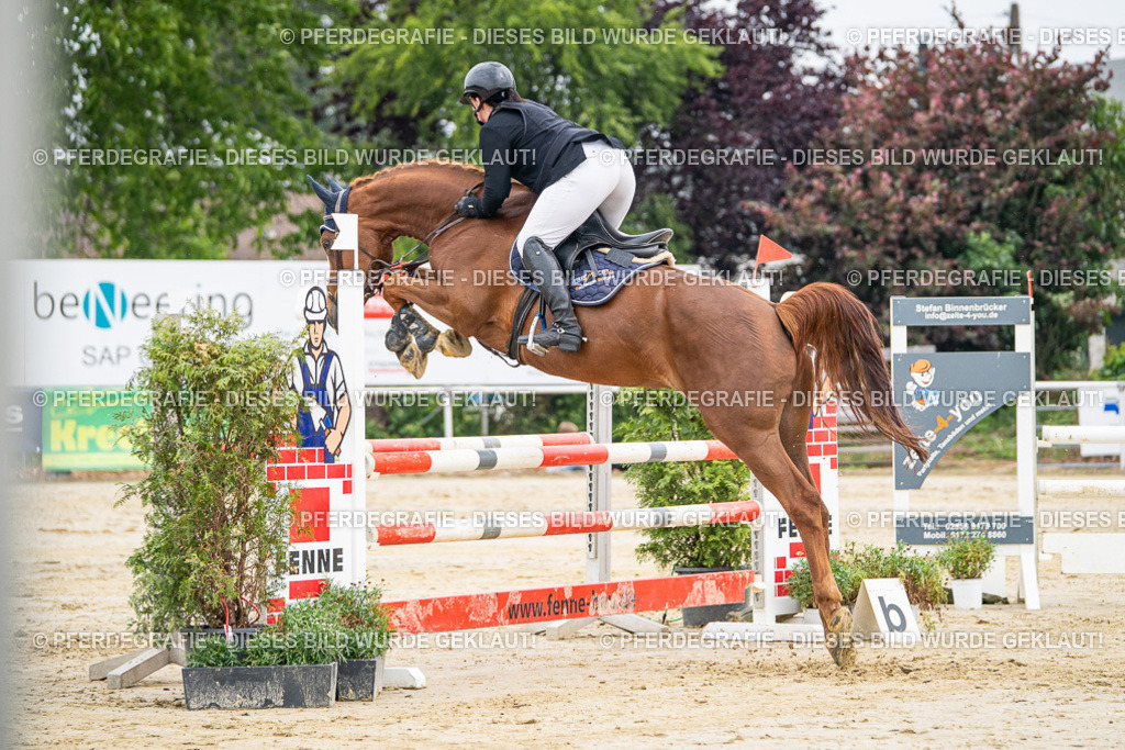 DSC09562 | Pferdegrafie