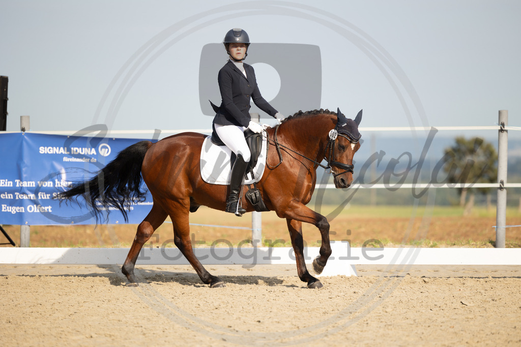 994A1246 | sabrinanicolaifotografie - Realisiert mit Pictrs.com