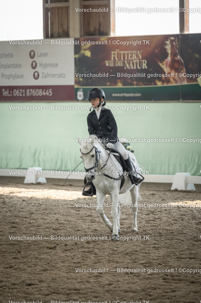 _D5A5677 | Emotionale Pferde- & People-Fotografie rund um Heidelberg, Leimen & Umgebung. Natürliche Fotos von Pferd, Mensch & Familie. Jetzt Termin sichern!