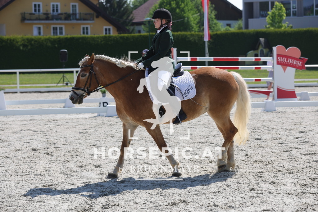 0P6A2414 | Willkommen bei Brunnmayr - Design & Fotografie – Ihrem Spezialisten für Reitturniere und Pferdeveranstaltungen in Oberösterreich, Salzburg und Bayern! Seit über 17 Jahren sind wir leidenschaftlich dabei.
