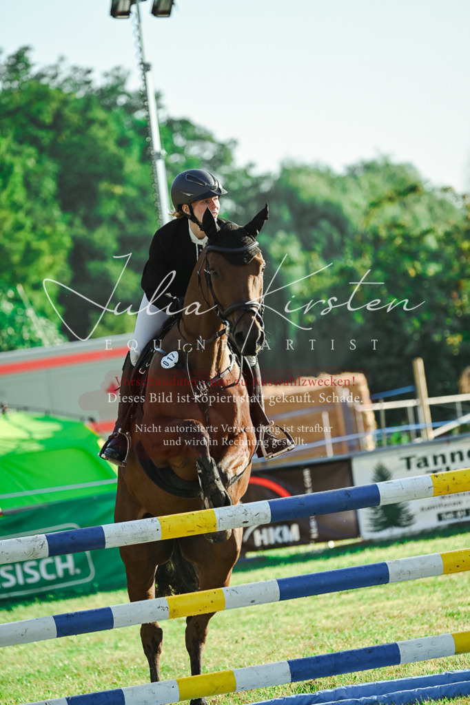 DSC_4302 | Pferde- und Turnierfotografie in Westsachsen. Pferdeportraits, Auftragszeichnungen und intuitive Kunst.