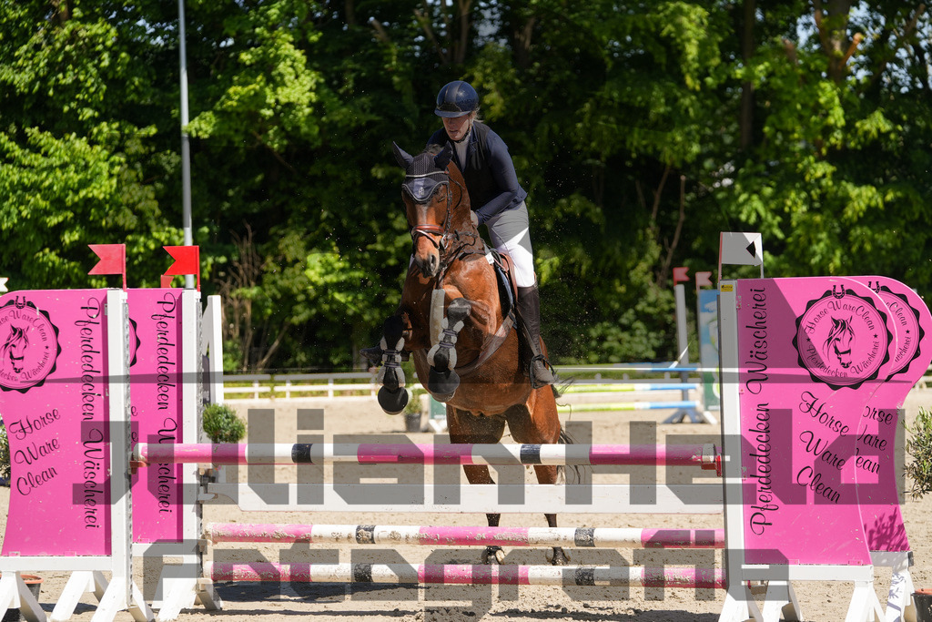 DSC02207 | Julian Held Fotografie - Realisiert mit Pictrs.com