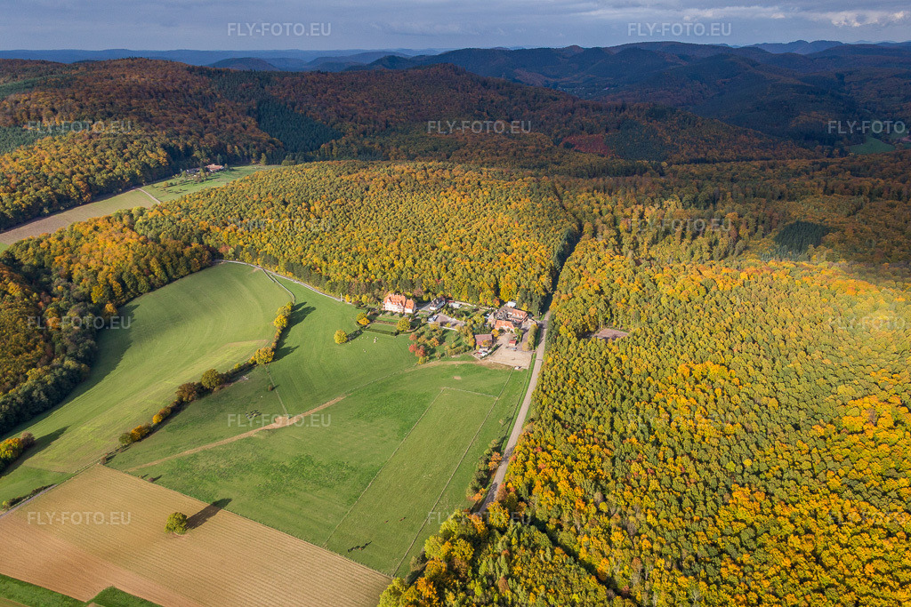 Vue aérienne: Bâtiments et parc du manoir et des Chambres d'Hôtes Villa le Riesack et de la ferme Mellon à la lisière de la forêt aux couleurs d'automne à Niederbronn-les-Bains dans le département Bas Rhin, France – .Photo: IMG_084713.jpg prise le 23/10/2015 par Werner Riehm/FLY-FOTO.eu – Résolution de l'original: 5472 x 3648 px