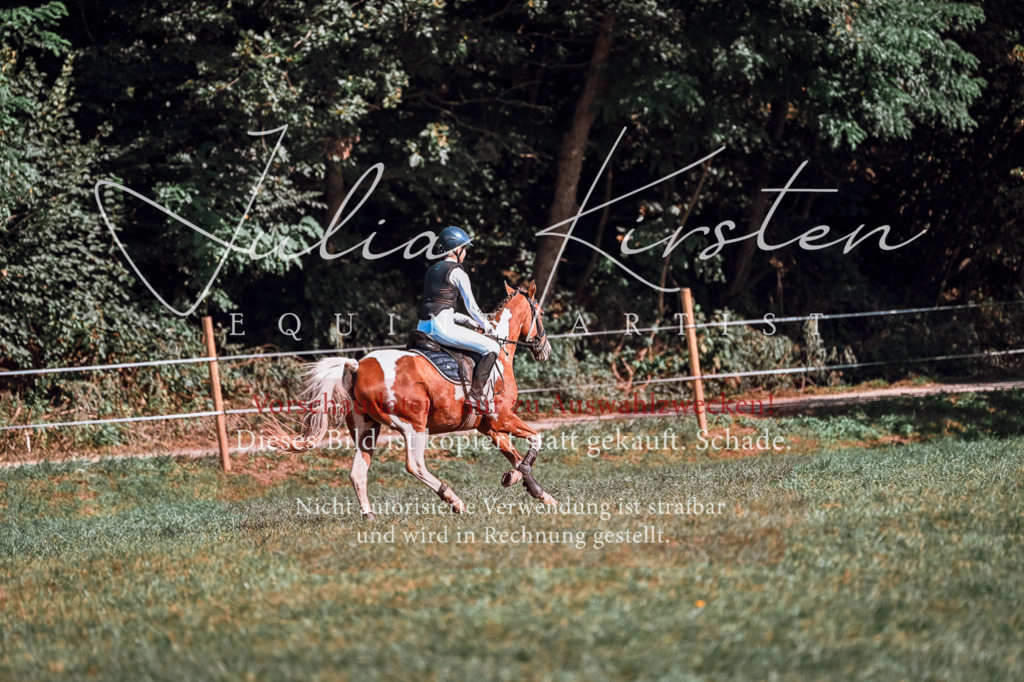 DSC_1028 | Pferde- und Turnierfotografie in Westsachsen. Pferdeportraits, Auftragszeichnungen und intuitive Kunst.