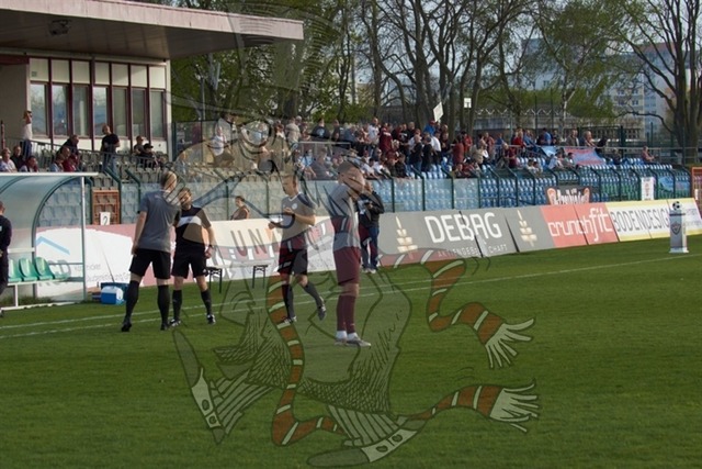 BFC Dynamo vs. FC Eilenburg  006 | mythos-online-redaktion