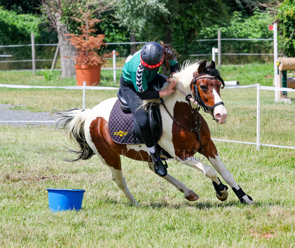 1B3A2325 | Reitsport Reiten