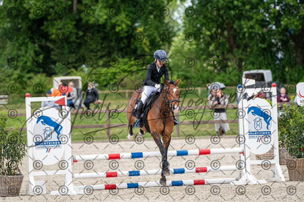 KPT_6354 | andre_photographic