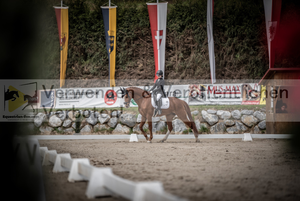 DSC_3207 | equestrian-live-com