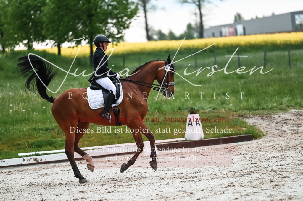 DSC_4391 | Pferde- und Turnierfotografie in Westsachsen. Pferdeportraits, Auftragszeichnungen und intuitive Kunst.