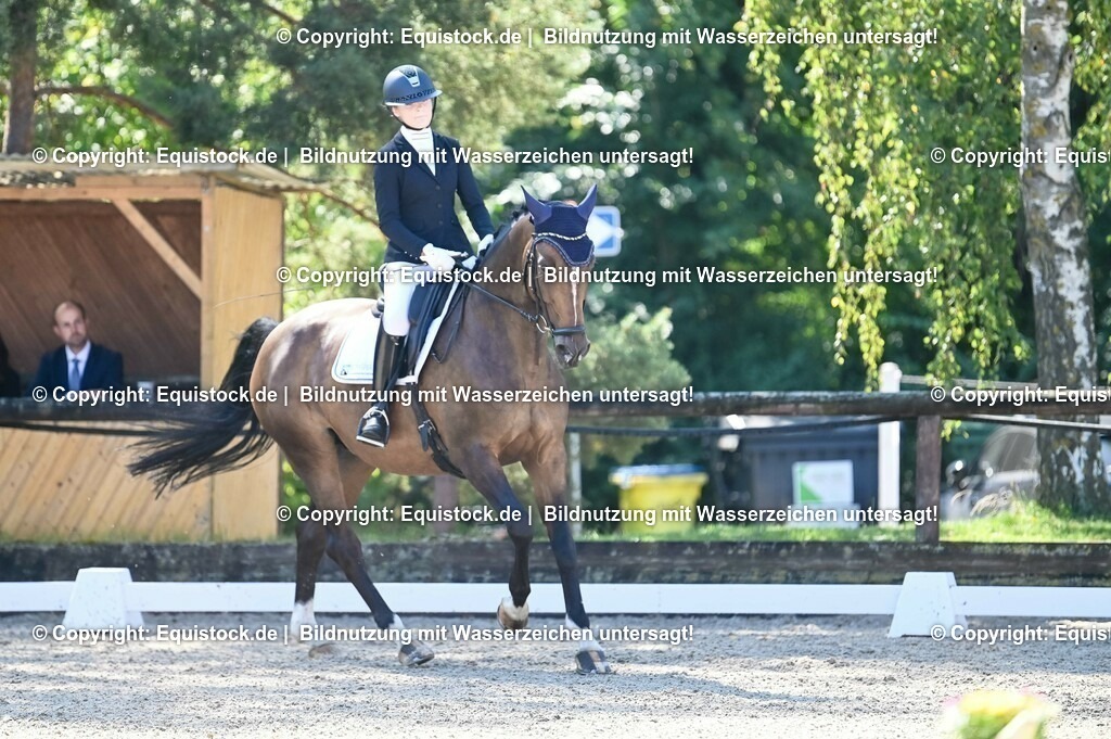 20230908_06_Dressur-L-Trense_0440 | equistock