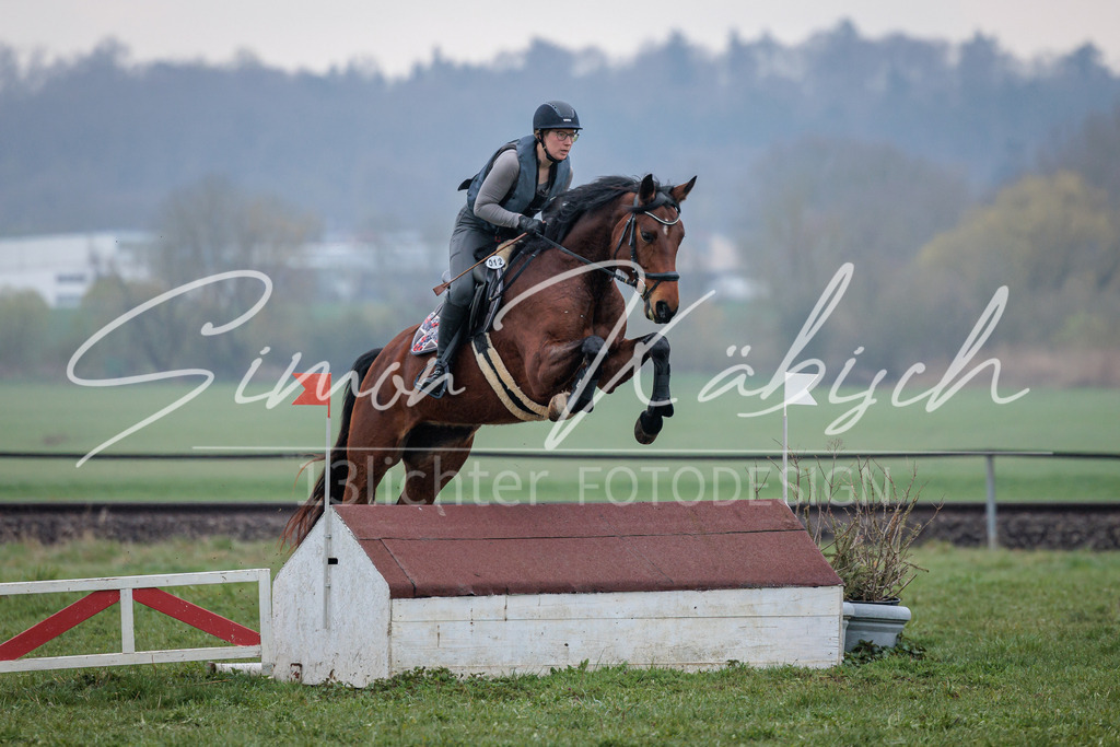 20260329-_3LI4040 | Tierfotografie Pferde, Hunde, Katzen, Haustiere.
Turnierfotografie Reitturniere, Reiten, Springreiten, Dressur in Hanau, dem Main-Kinzig-Kreis und dem Rhein-Main- Gebiet um Frankfurt