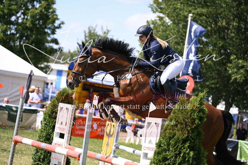 DSC_0250 | Pferde- und Turnierfotografie in Westsachsen. Pferdeportraits, Auftragszeichnungen und intuitive Kunst.