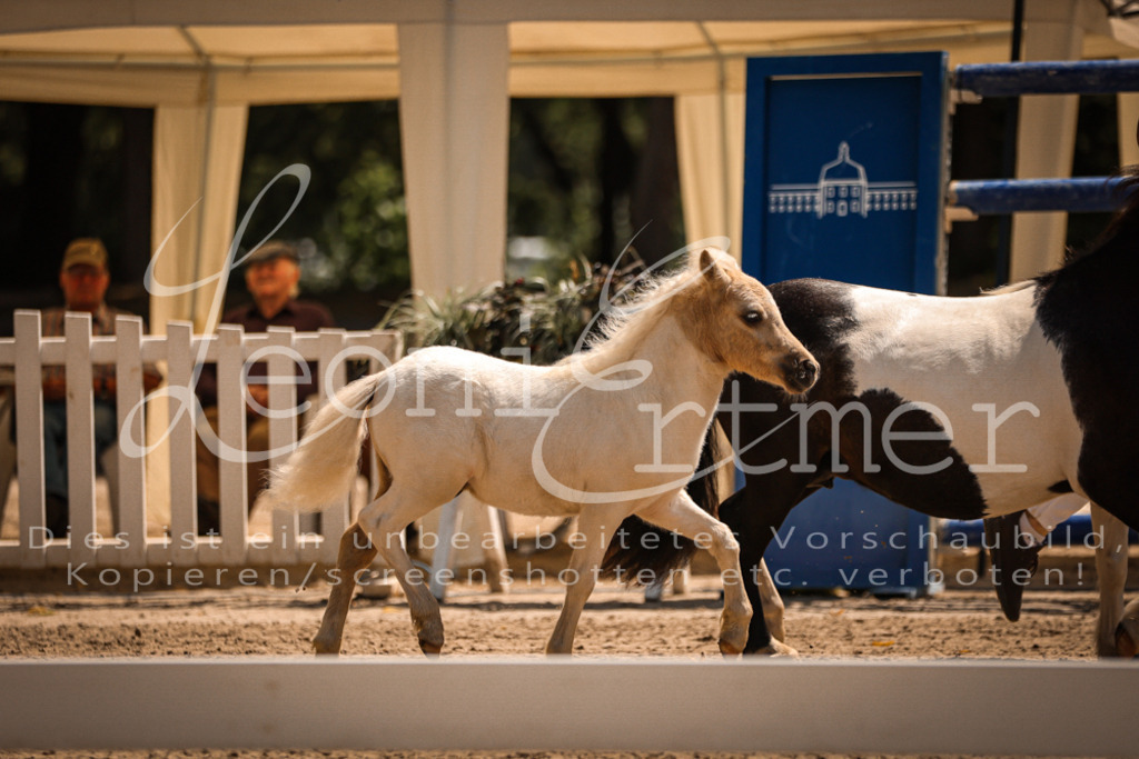 01.DoKR00076 | Leoni Ertmer Photography - Realisiert mit Pictrs.com