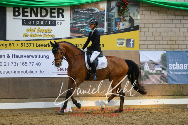 IMG_2604 | Turnierfotos kaufen im Webshop von Daniel Kuhl Photography – entdecke professionelle Reitsportfotos aus Turnieren & Events. Hochwertige Turnierbilder online bestellen & sichern. Jetzt Fotos von Reitsportturnieren kaufen!
