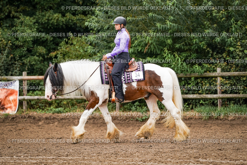 DSC03424 | Pferdegrafie