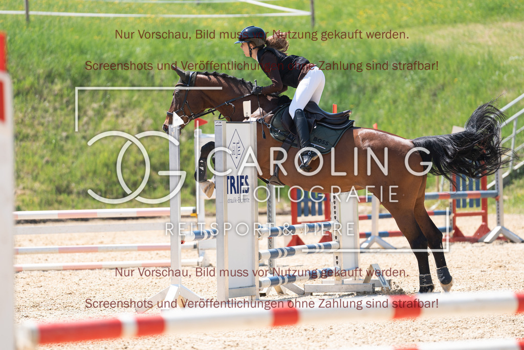 DSC04450 | Springturnier_Ehingen_Mai_2026, Lisa_Marie_Sproll, Caitlin_4