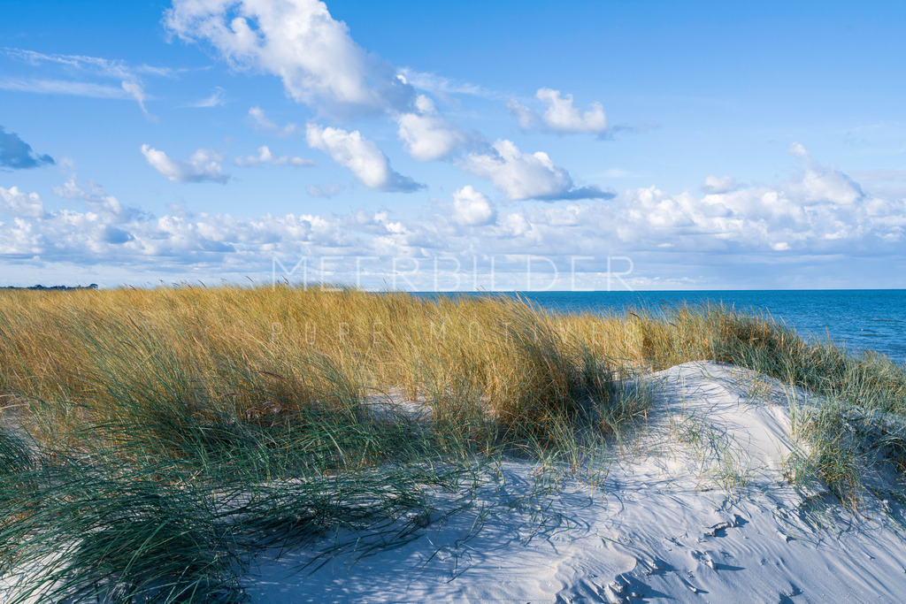Ostseebild mit Düne // Weststrand | Dieses wunderschöne Bild der Ostsee zeigt die Dünenlandschaft des Darßer Weststrands, bedeckt mit weichem Sand und üppigem Dünengras. Die Farbpalette reicht von einem warmen Gelb bis hin zu satten Grüntönen. Im Hintergrund erstreckt sich die Ostsee, während kleine Wolken am Himmel gelegentlich die Sonne verdecken. Dieses schöne Ostseebild ist in verschiedenen Größen und Formaten erhältlich - perfekt für jeden Geschmack! Holen Sie sich einen Hauch von Küstenzauber in Ihr Zuhause.