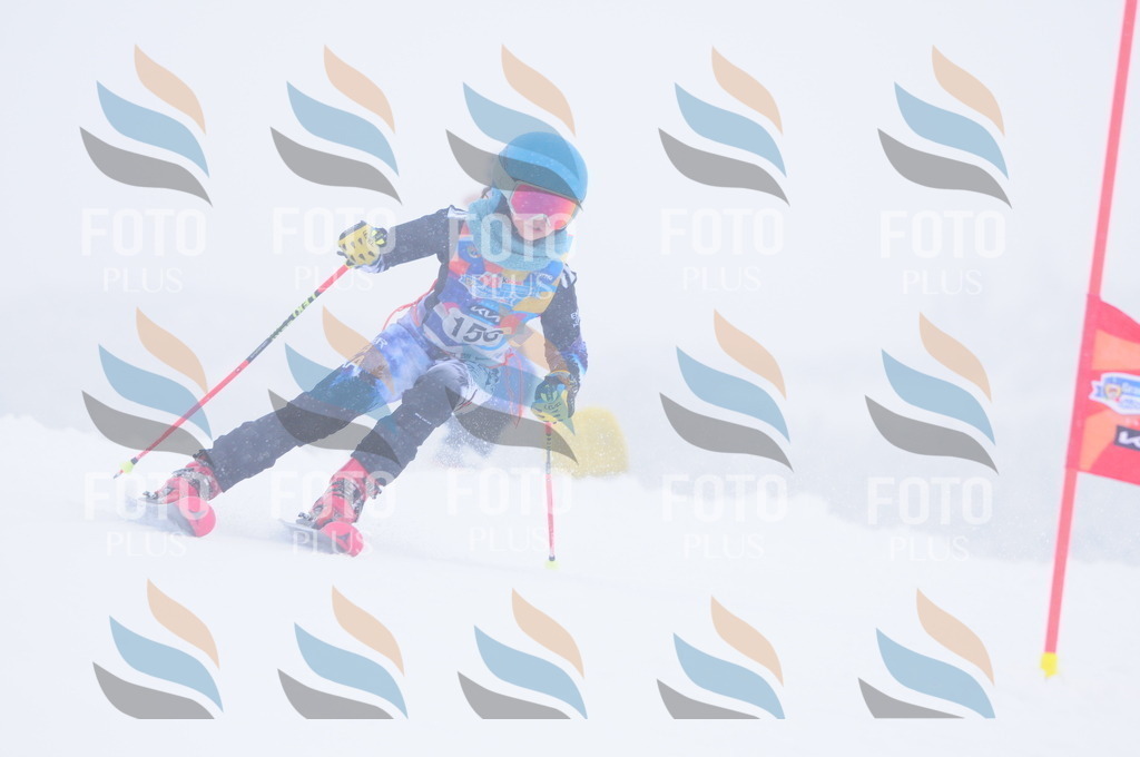 C1854 | holidayphoto