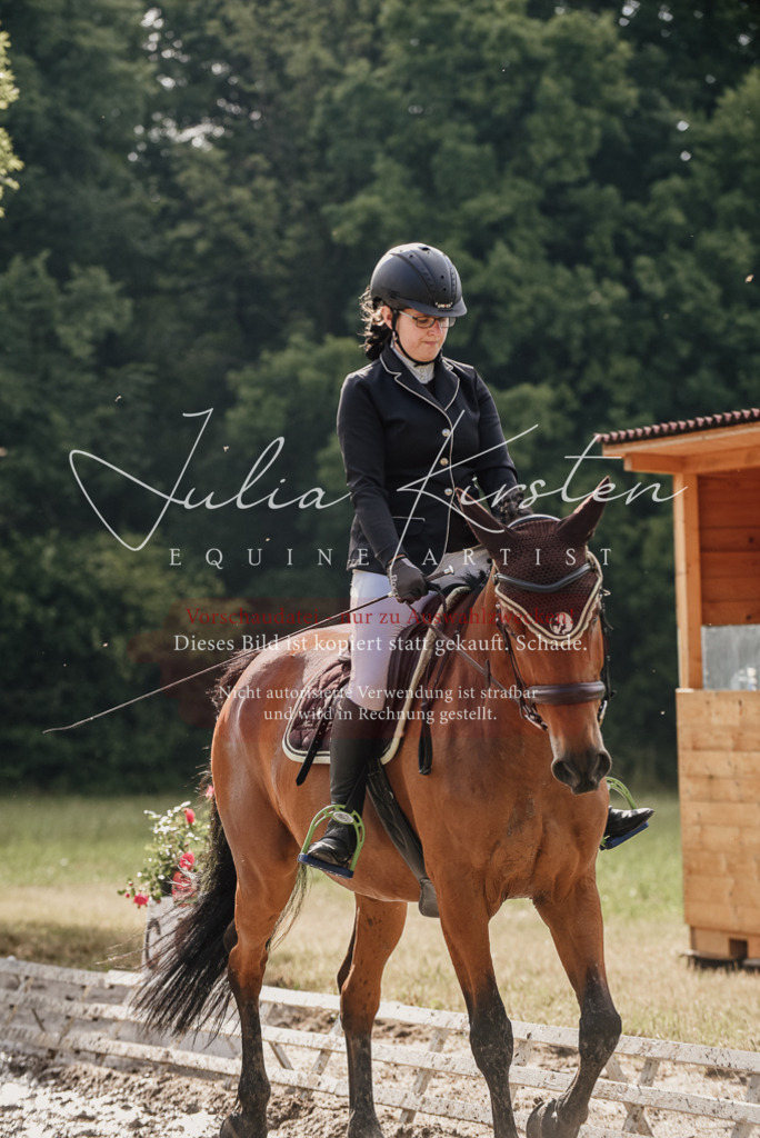 DSC_8458 | Pferde- und Turnierfotografie in Westsachsen. Pferdeportraits, Auftragszeichnungen und intuitive Kunst.