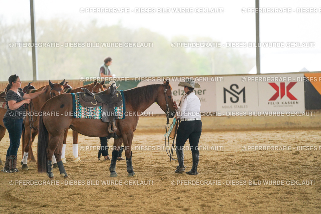 DSC08359 | Pferdegrafie