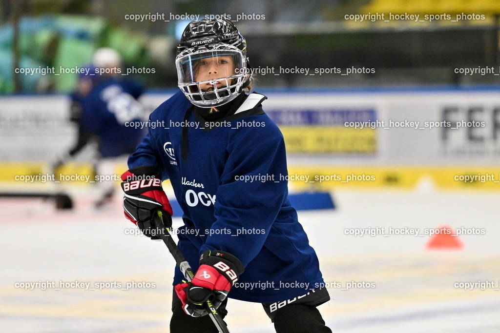 Z9B_1768 | hockey sports photos, Pressefotos, Sportfotos, hockey247, win 2day icehockeyleague, Handball Austria, Floorball Austria, ÖVV, Kärntner Eishockeyverband, KEHV, KFV, Kärntner Fussballverband, Österreichischer Volleyballverband, Alps Hockey League, ÖFB, 