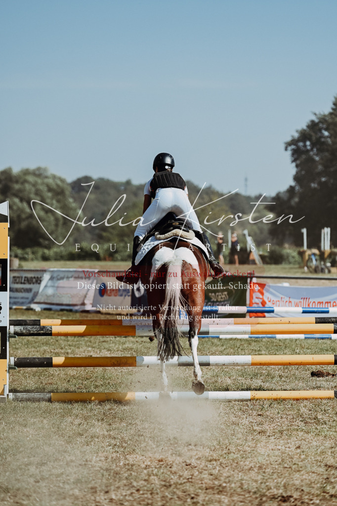 DSC_9902 | Pferde- und Turnierfotografie in Westsachsen. Pferdeportraits, Auftragszeichnungen und intuitive Kunst.