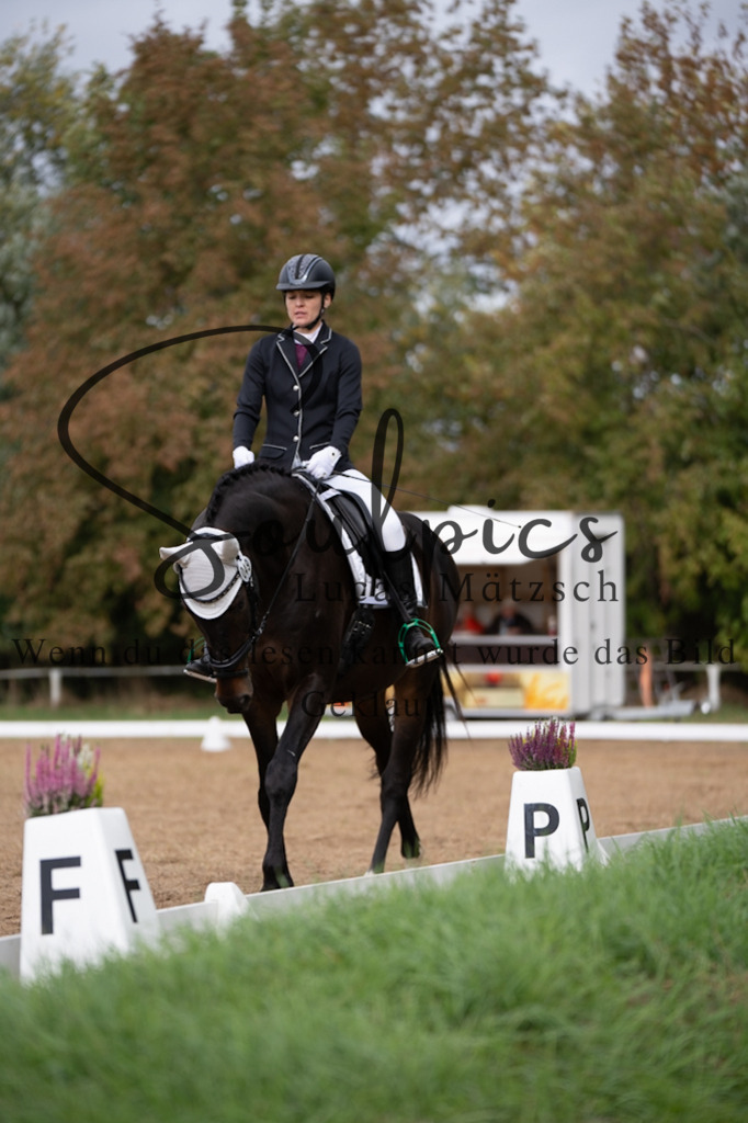 A7V05252 | Pferdefotograf