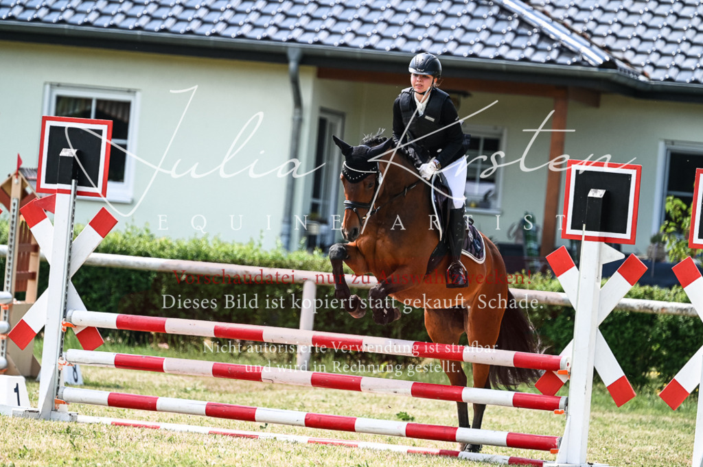 DSC_9471 | Pferde- und Turnierfotografie in Westsachsen. Pferdeportraits, Auftragszeichnungen und intuitive Kunst.