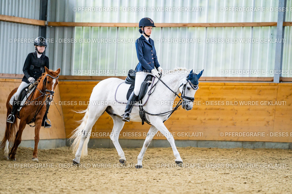 DSC04825 | Pferdegrafie