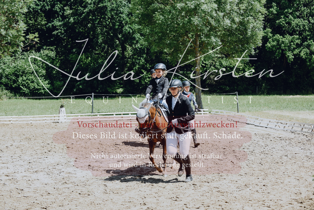 DSC_2614 | Pferde- und Turnierfotografie in Westsachsen. Pferdeportraits, Auftragszeichnungen und intuitive Kunst.