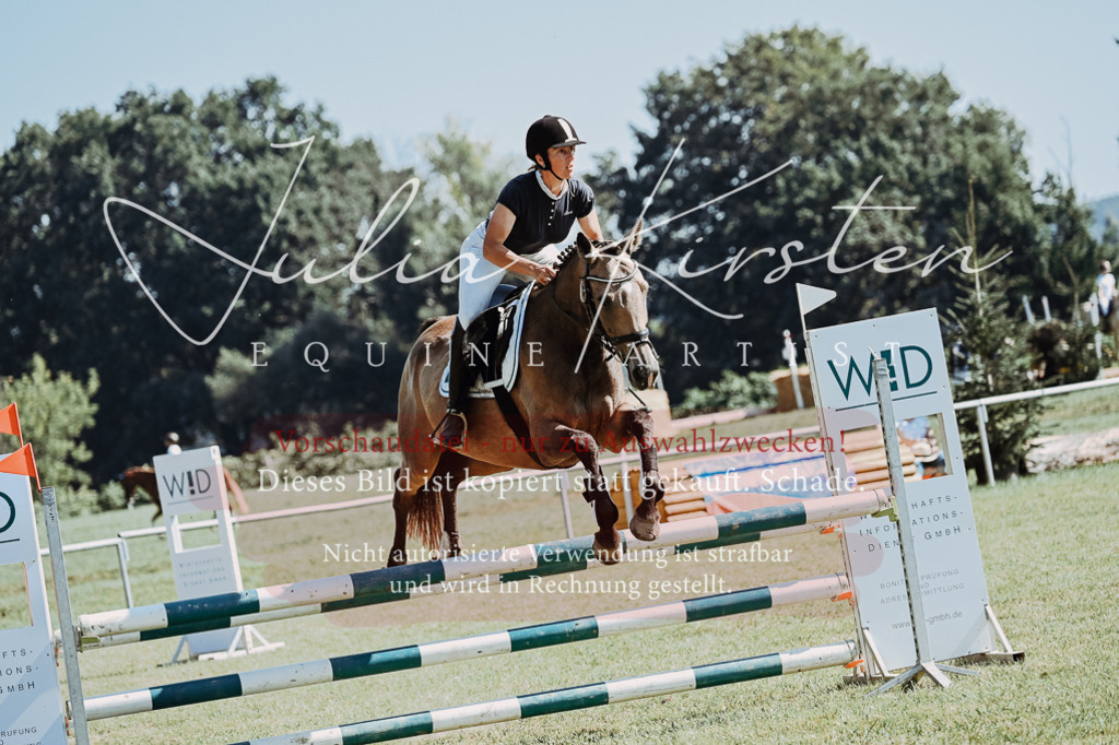 DSC_5931 | Pferde- und Turnierfotografie in Westsachsen. Pferdeportraits, Auftragszeichnungen und intuitive Kunst.