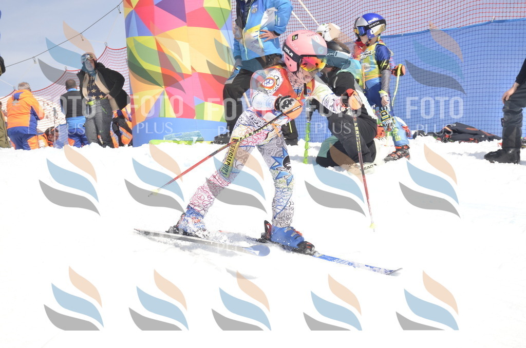 _ELE9229 | holidayphoto