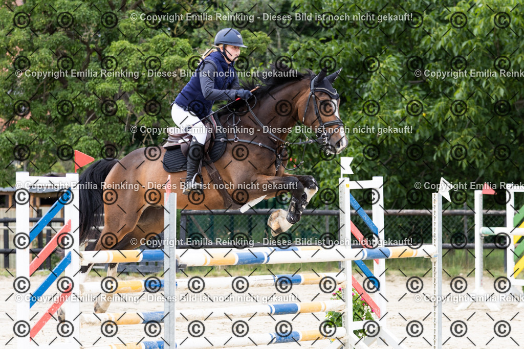 CL5A5389 | Emilia Reinking Fotografie - Realisiert mit Pictrs.com